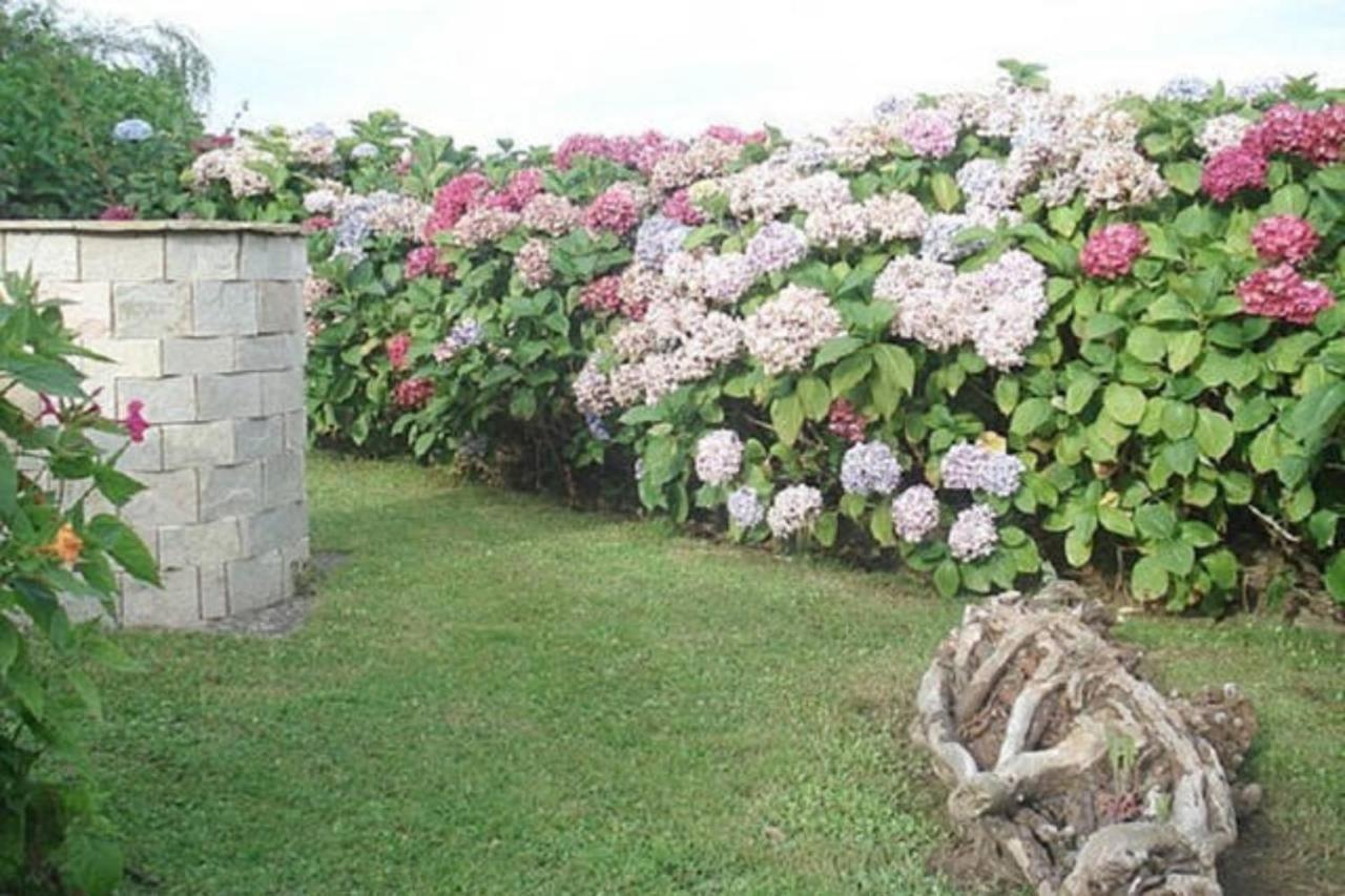 Las Golondrinas Casiellas ภายนอก รูปภาพ